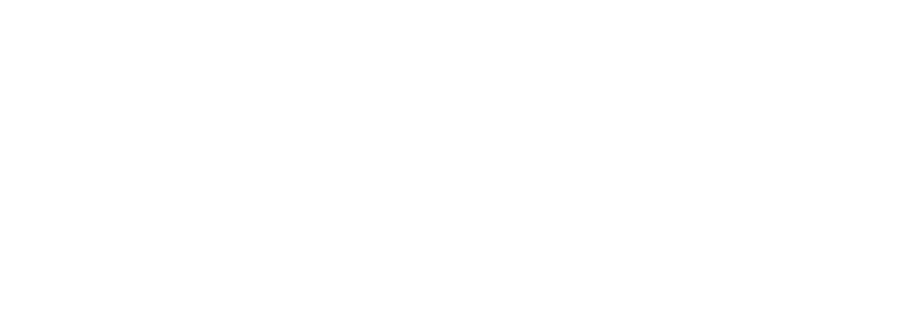 Wapiti Digital
